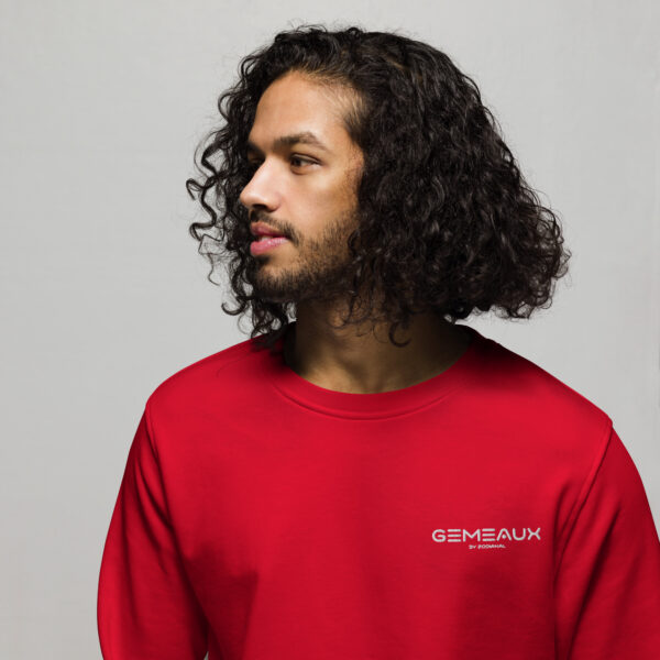 Sweat écologique Homme Brodé  - GÉMEAUX